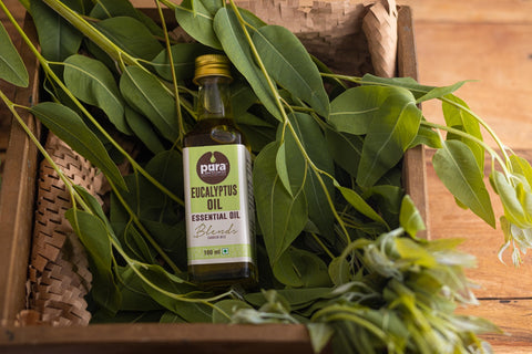 Eucalyptus Oil 100ML